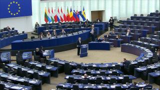 Respingerea aderării României la Schengen, dezbătută în Parlamentul European. Decizia a creat probleme între politicienii din Austria