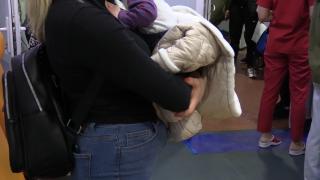 Spitalul de Pediatrie din Ploieşti, prea mic pentru numărul mare de urgenţe. Medicii fac faţă cu greu sutelor de cazuri zilnice