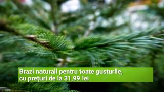(P) Întâmpină Crăciunul cu un brad natural de la Leroy Merlin și dă-i a doua șansă după sărbători