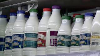 Produsele lactate autentice, separate la raft de cele care au lapte la bază sau adaosuri vegetale. Legea va face "ordine" în supermarketuri