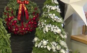 Brazii de închiriat, gata împodobiţi de designeri, soluţie de moment pentru indecişi. Serviciul costă de la 1.000 de lei în sus