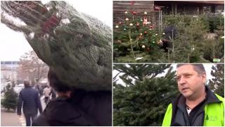 Românii au lăsat bradul de Crăciun ultimul pe lista de cumpărături, în speranţa că pot obţine un preţ mai bun: "Doar nu sunt nebun să dau 200 de lei pe un brad"