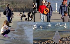 Temperaturile-record au scos oamenii din case pe litoral. Spectacol la malul mării făcut de păsările care au "uitat" să mai migreze