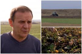 O nouă lovitură pentru fermieri: imaginile din câmp i-au îngrozit. Efectele duc la scumpiri la raft