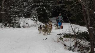 "Săracii vin şi pleacă dezamăgiţi". Turiştii, păcăliţi de fulgii de nea căzuţi dimineaţă: ninsoarea s-a transformat în lapoviţă