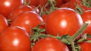 Legumele româneşti, la preţ dublu faţă de anul trecut. Ce subvenţie vor primi agricultorii din partea Guvernului