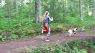 Rasa de câini desemnată drept cea mai inteligentă