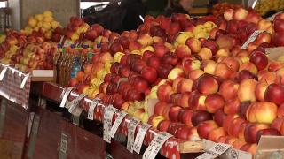 Ţara care "face legea" pe rafturile cu mere din România. Cât de greu e pentru un producător local să ajungă cu marfa în supermarket