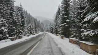 Prima avertizare de ninsori din acest an. Meteorologii anunță viscol și ploi abundente