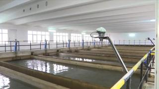 "Evitați consumul de apă brută". Anunțul autorităților din Brăila, după ce au descoperit o bacterie periculoasă