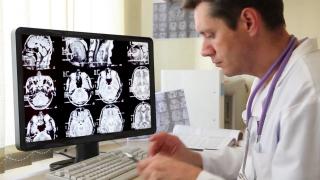 Cercetătorii americani, la un pas de a descoperi secretul tinereţii fără bătrâneţe. Ce experiment au făcut pe şoareci