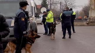 Garda de Mediu, pe urmele hoţilor de curent electric. Zeci de polițiști au descins în Ilfov, după ce mai mulți oameni s-ar fi branșat ilegat la rețea