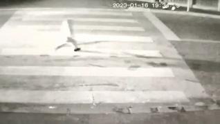 Băiețelul din Dej spulberat pe trecere a scăpat doar cu câteva zgârieturi. "Copiii de acolo parcă se aruncă intenționat în fața mașinilor"