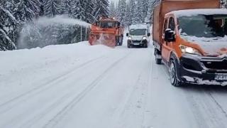 Toate anotimpurile într-o singură zi. România, împărțită între temperaturile record din Capitală și cod roșu de viscol la munte