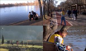 Cel mai călduros ianuarie din istorie: recorduri de temperatură doborâte de la o zi la alta