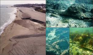 O corabie misterioasă a blocat proiectul de 430 de milioane de lei de pe litoral