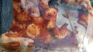 Sute de pastile de ecstasy descoperite în Pădurea Băneasa, chiar lângă Academia de Poliție. Drogurile, găsite  accidental cu un detector de metale