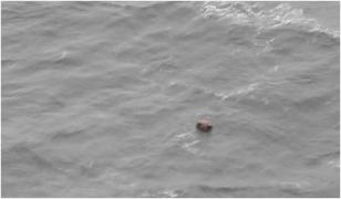 Marina bulgară a dezamorsat marți o mină marină care plutea în derivă. O alta, aflată la 200m de mal, a fost neutralizată luni