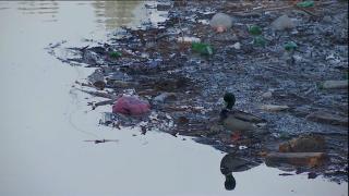 "PET-uri de bere. Of, urşii ăştia, câtă bere beau!". Lacul de acumulare Gilău, acoperit de tone de gunoaie