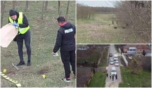 Un băiat de 13 ani, sfâşiat de câini în Teleorman. Nimeni nu i-a sărit în ajutor: "Nu m-au luat vecinii, tati. Am fugit, am strigat"