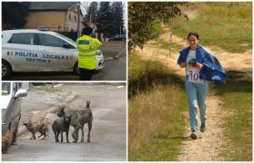 În timp ce apropiaţii îi aduceau Anei un ultim omagiu, în zonă era plin de maidanezi. Poliţia Locală s-a rugat cu orele de ASPA să intervină, degeaba