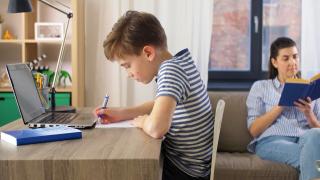 Învăţământul alternativ, o nouă provocare educaţională pentru profesorii din România. Fundația Dan Voiculescu continuă programul WebDidactica Educațional