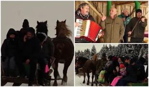 Zeci de turiști s-au bucurat de o plimbare prin nămeți cu sania trasă de cai. Cât costă călătoria de poveste din Munții Harghitei