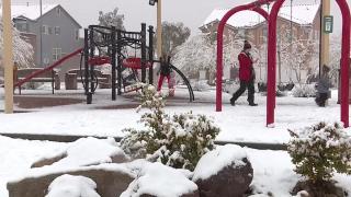 Imagini rare în Los Angeles: Orașul îngerilor a fost acoperit de un strat consistent de zăpadă. Nu mai ninsese din 2007