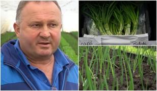 Legumele româneşti, mai scumpe anul acesta. Soluţia găsită de un producător pentru a rămâne pe piaţă