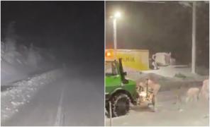 Cod galben de ninsori abundente și viscol în mai multe zone din țară. Drumarii au scos utilajele de deszăpezire