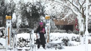 Atena, paralizată de un val de ger şi ninsoare. În SUA s-a înregistrat un record de temperatură: -77 de grade Celsius, mai frig ca pe Marte