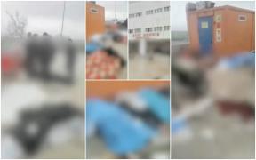 În provincia turcă Hatay, morții nu mai au loc la morgă și zac în curtea spitalului. "Cine va plăti pentru asta?"