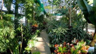 Colţul de rai cu vară eternă: Serele din Parcul Drumul Taberei. Găzduiesc mii de plante aduse din toate colţurile lumii