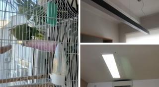 "Vai de capul meu". Reacţiile românilor după al doilea cutremur puternic în zona Olteniei