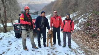 Operaţiune mai puţin obişnuită pentru salvamontiştii din Alba. Au salvat un câine, blocat pe stânci, după ce se pierduse de stăpân