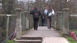 Poduri, în pericol să cadă, la Timişoara. O pasarelă e atât de deteriorată încat nu poate fi reparată