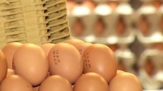 Prețurile la ouă au atins valori record. Cât costă o cutie cumpărată din piață