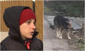 Comuna unde maidanezii le fac localnicilor viaţa un iad. Oamenii se tem să meargă şi la magazin: ''Ne pot ataca oricând!''