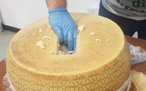 Roţi uriaşe de parmezan, pline de cocaină, confiscate în Italia. Cele peste 100 de kilograme urmau să aducă reţelei un profit de 20 de milioane de euro