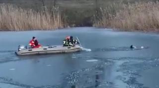 Misiune de salvare neobișnuită. Pompierii din Făgăraș chemați să scape de la moarte trei căței căzuți într-un lac