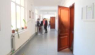 "Am fost șocată. Este o elevă bună la învățătură". Orbită de furie, o adolescentă din Brăila și-a snopit colega în clasă, din cauza unui băiat