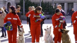 Poveştile eroilor români și ale câinilor salvatori din Turcia. Și-au riscat viața căutând fără oprire oameni prinși sub dărâmături