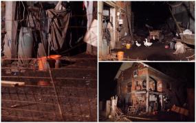 "Uite, acolo, e mort în curte!" Bărbat din Satu Mare ucis în propria gospodărie. Un tânăr de 25 de ani este principalul suspect