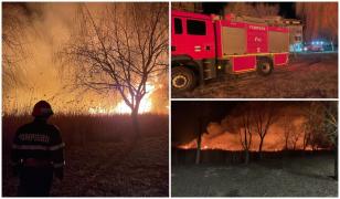 Delta Dunării, cuprinsă de flăcări uriașe. Pompierii au dus o luptă contracronometru pentru stingerea incendiului