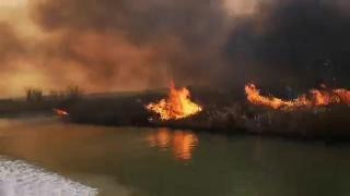 Delta Dunării a fost cuprinsă de flăcări, după ce locuitorii au dat foc la stuf. Sute de hectare s-au făcut scrum