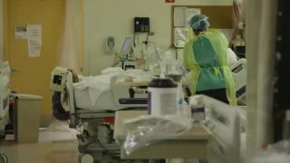 Gripa aviară ar fi suferit mutaţii: O fetiţă de 11 ani a murit în urma infecţiei cu o tulpină a acestui virus, în Cambodgia