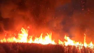 Misiune contracronometru pentru pompierii vâlceni. 15 hectare de vegetaţie, mistuite în urma unui incendiu puternic