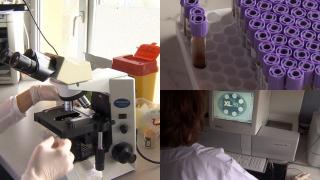 Alertă medicală în Europa. Tratamentul cu antibiotice, ineficient în cazul a două bacterii care provoacă infecţii grave la copii