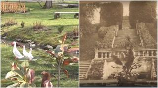 Fructul exotic care se cultiva în Avrig, la reședinţa de vară a lui Samuel von Brukenthal, în urmă cu 200 de ani. Doar aristocraţia îl şi putea gusta