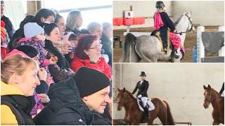 Spectacol impresionant de echitaţie la Târgu Mureş. Rasele nobile de armăsari i-au atras pe copii ca un magnet